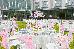 Thumbnail 23