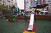 Thumbnail 15