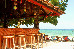 Thumbnail 245
