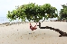 Thumbnail 247