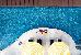 Thumbnail 104