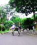 Thumbnail 26