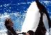 Thumbnail 22