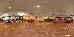 Thumbnail 23