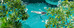 Thumbnail 27