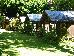 Mungumby Lodge photo 2