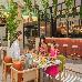 Thumbnail 243