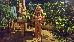 Thumbnail 26