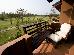 Thumbnail 17