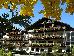 Thumbnail 42