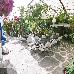 Thumbnail 25