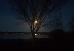 Thumbnail 29