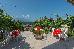 Thumbnail 41