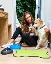 Thumbnail 152