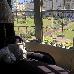 Thumbnail 37