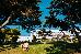 Thumbnail 63