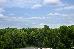 Thumbnail 17