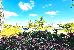 Thumbnail 27