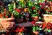 Thumbnail 23