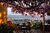 Thumbnail 26