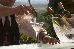 Thumbnail 32