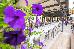 Thumbnail 27