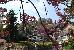 Thumbnail 23