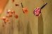 Thumbnail 116
