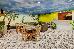 Thumbnail 19