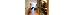 Thumbnail 21