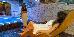 Thumbnail 44