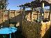 Thumbnail 29