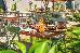 Thumbnail 45