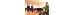 Thumbnail 37