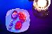 Thumbnail 22