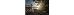 Thumbnail 22