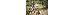 Thumbnail 23
