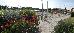 Thumbnail 96