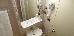 Thumbnail 44