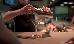 Thumbnail 38