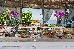 Thumbnail 90