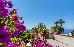Thumbnail 38