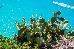 Thumbnail 24