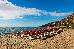 Thumbnail 56