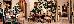 Thumbnail 25