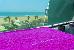 Thumbnail 19