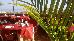 Thumbnail 29