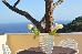 Thumbnail 61
