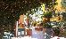 Thumbnail 33