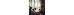 Thumbnail 36